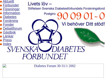 Diabetes startsida 2002