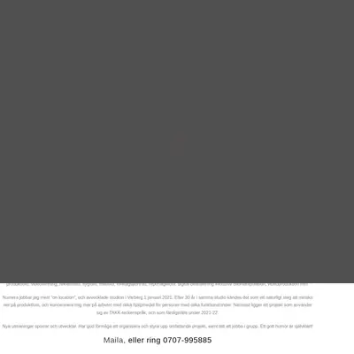 www.digipict.se startsida 2022