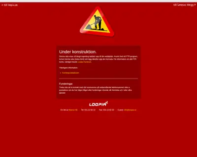 Elbilen i Sverige AB startsida 2009