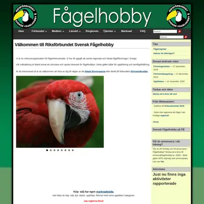 Fågelhobby startsida 2019