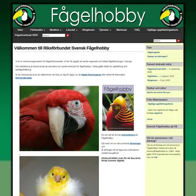 Fågelhobby startsida 2020