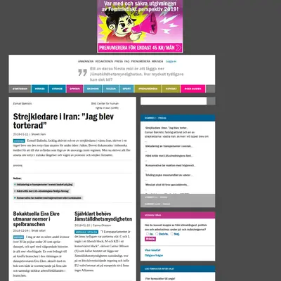 feministisktperspektiv.se startsida 2019