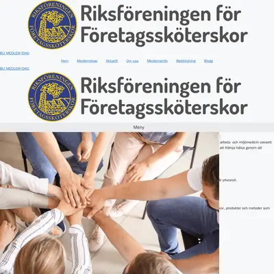 Företagssköterskan startsida 2024