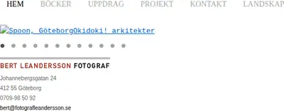 www.fotografleandersson.se startsida 2016
