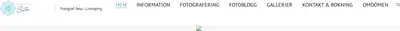 www.fotografsatu.se startsida 2015