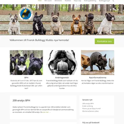 franskbulldoggklubb.se startsida 2017