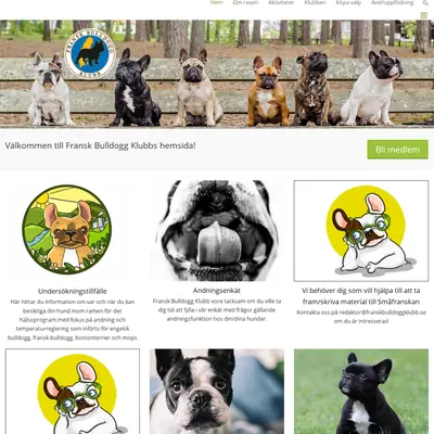 franskbulldoggklubb.se startsida 2020