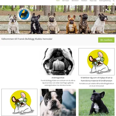 franskbulldoggklubb.se startsida 2021