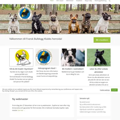 franskbulldoggklubb.se startsida 2022