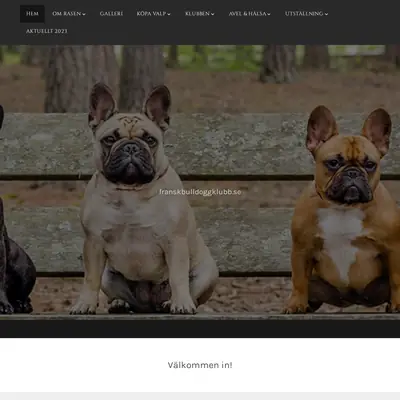 franskbulldoggklubb.se startsida 2023