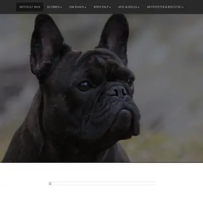 franskbulldoggklubb.se startsida 2025