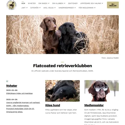 Charmören startsida 2025