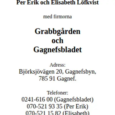 GAGNEFSBLADET startsida 2012
