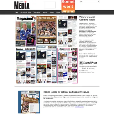 GESTRIKE MAGASINET startsida 2018