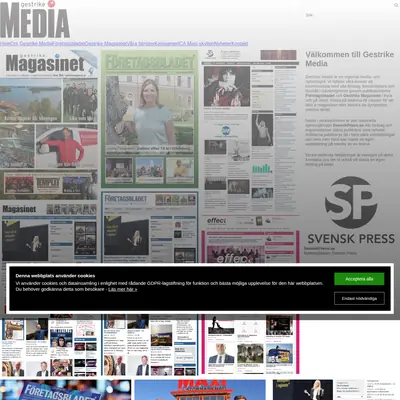 GESTRIKE MAGASINET startsida 2025