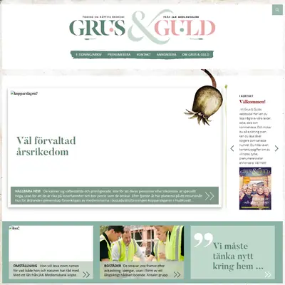 grusoguld.se startsida 2017