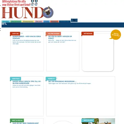 www.harligahund.se startsida 2015