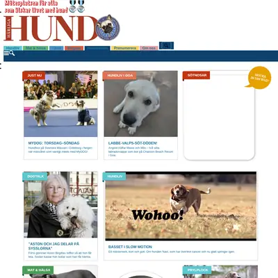 www.harligahund.se startsida 2016