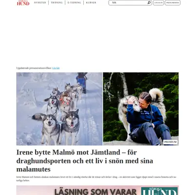 www.harligahund.se startsida 2025