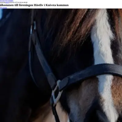 Hästliv startsida 2024