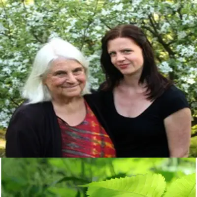 Hela Hälsan startsida 2022