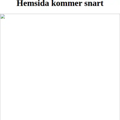 HEM & HOBBY startsida 2008