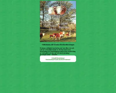 HEREFORD startsida 2000