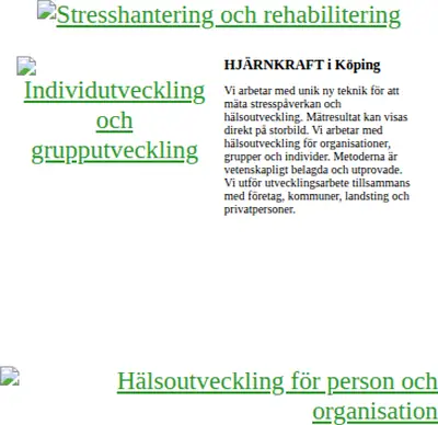HJÄRNKRAFT startsida 2002