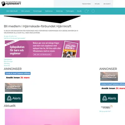 HJÄRNKRAFT startsida 2024