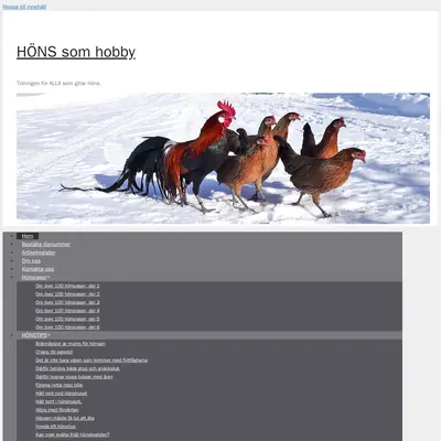 Höns som hobby startsida 2025