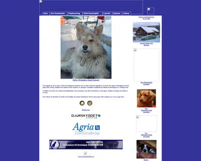 Hundstalls Nytt startsida 2005