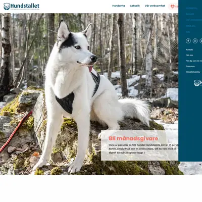 Hundstalls Nytt startsida 2021