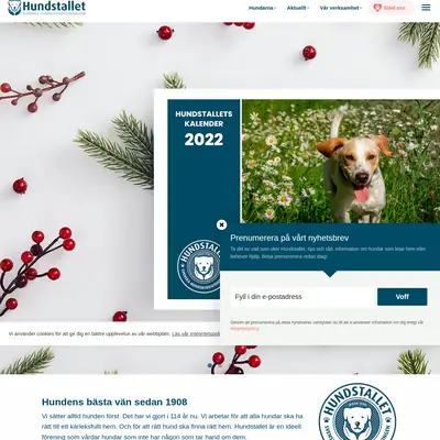 Hundstalls Nytt startsida 2022