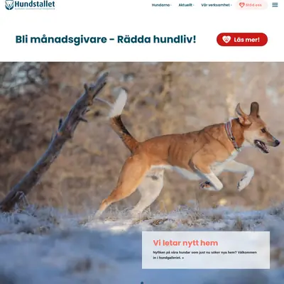 Hundstalls Nytt startsida 2024