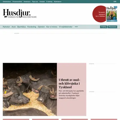 www.husdjur.se startsida 2025
