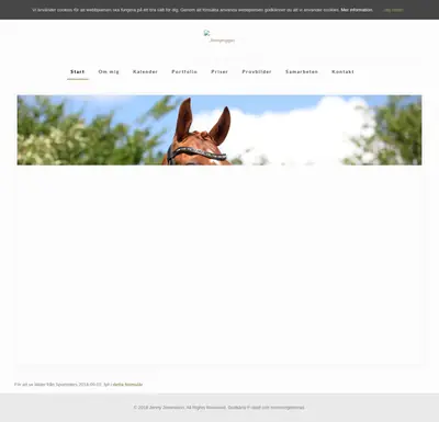 www.Johanssonjenny.se startsida 2018