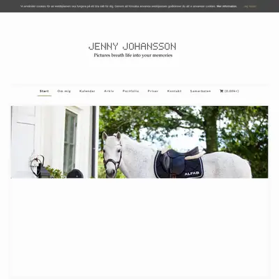 www.Johanssonjenny.se startsida 2019