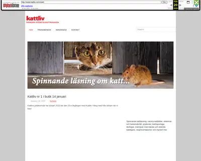 Kattliv startsida 2020