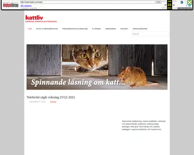 Kattliv startsida 2022
