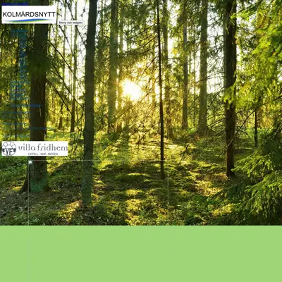 Kolmårdsnytt startsida 2020