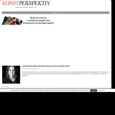 Konstperspektiv startsida 2018