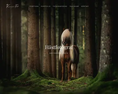 kronholmfoto.se startsida 2022