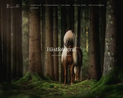 kronholmfoto.se startsida 2025