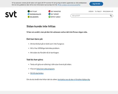 UR, UR/SVT Kunskapskanalen startsida 2009