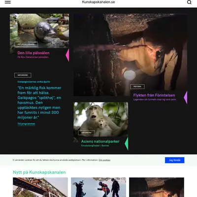 UR, UR/SVT Kunskapskanalen startsida 2019