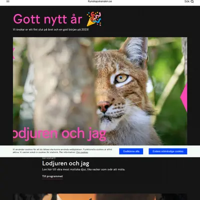 UR, UR/SVT Kunskapskanalen startsida 2023
