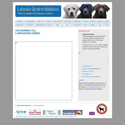 Labradoren startsida 2013