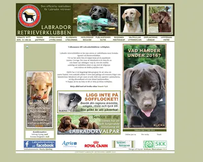 Labradoren startsida 2016