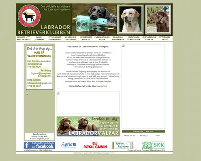 Labradoren startsida 2017