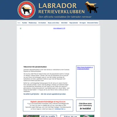 Labradoren startsida 2020